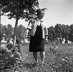 Kd20_5